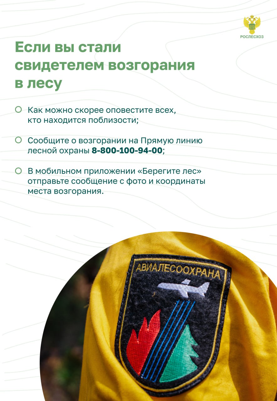 10_0.jpg