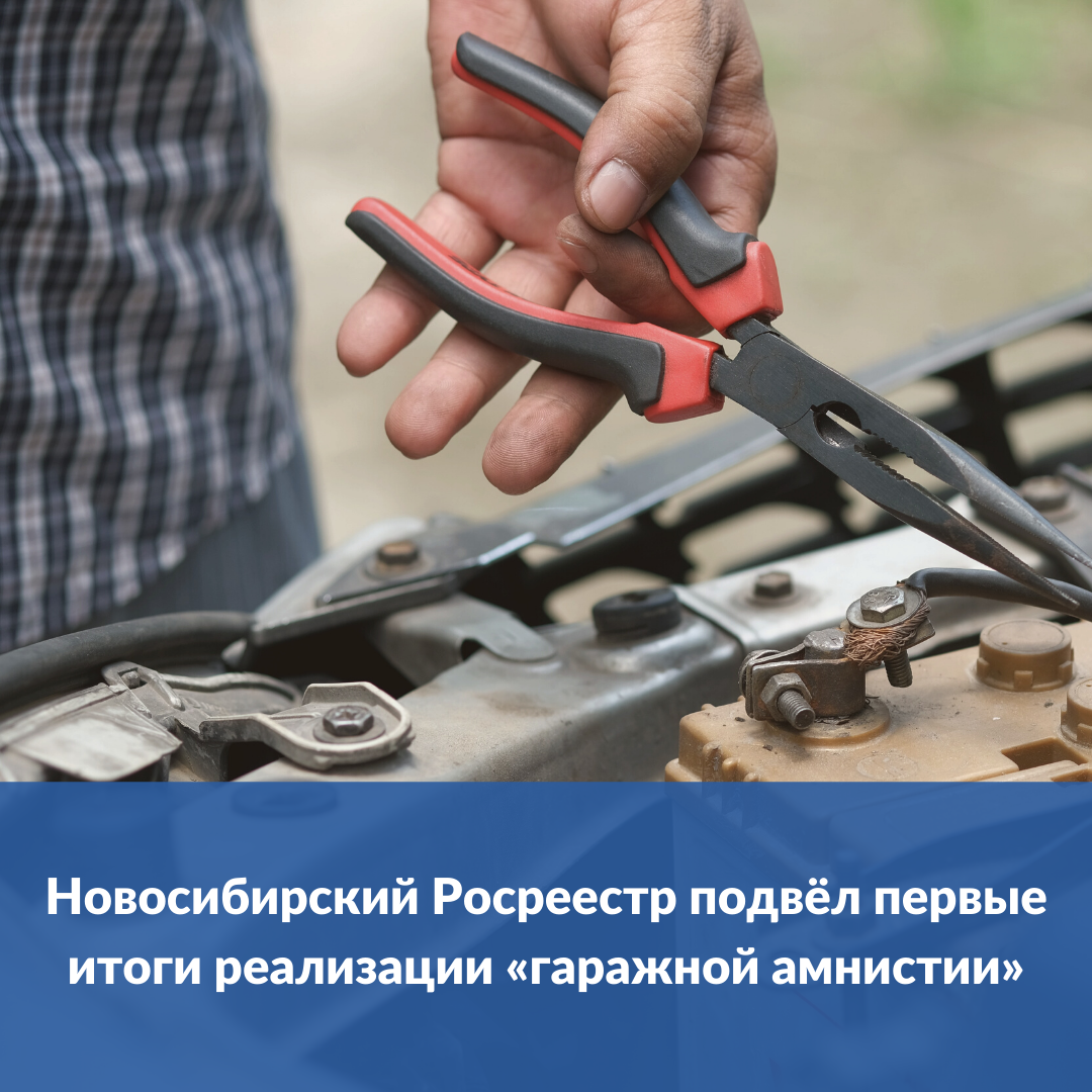 novosibirskiy_rosreestr_podvel_pervye_itogi_garazhnoy_amnistii_.png