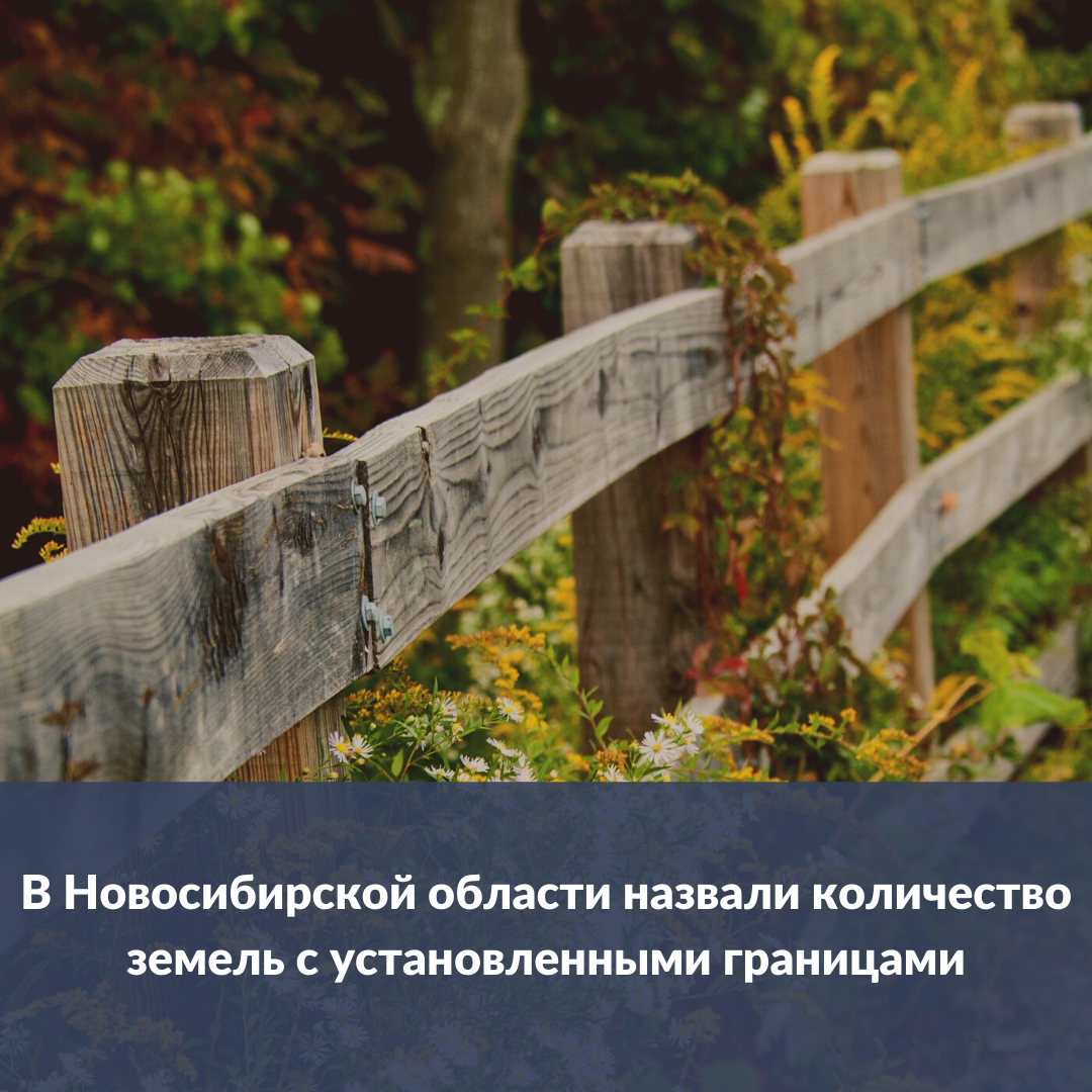 v_novosibirskoy_oblasti_nazvali_kolichestvo_zemel_s_ustanovlennymi_granicami_.png