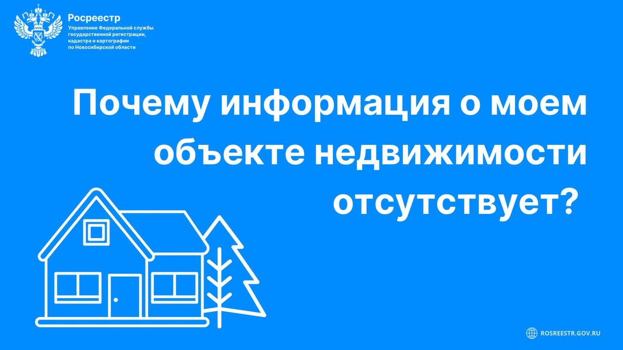 1_pochemu_nedvizhimost_ne_otobrazhaetsya.jpg