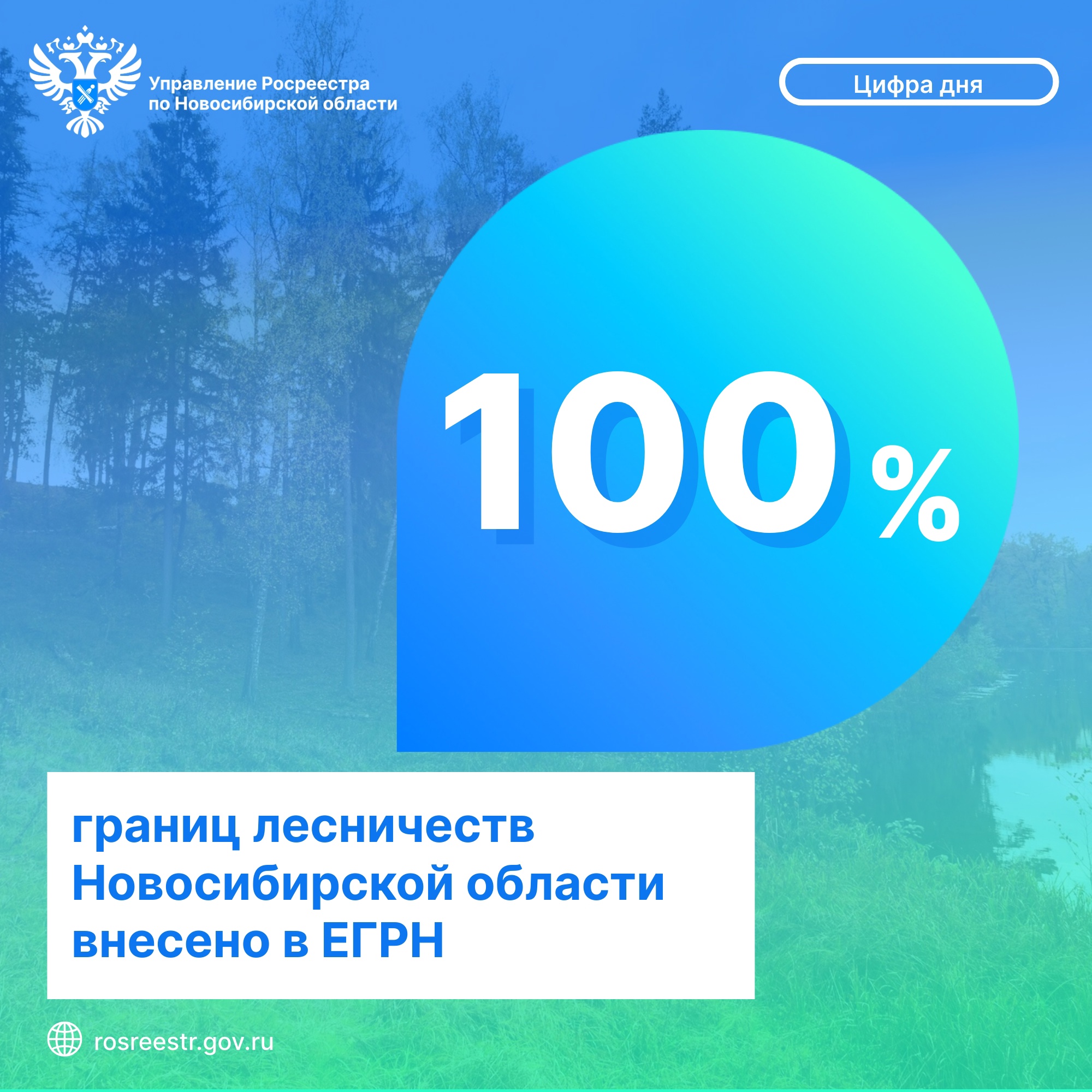100_granic_lesnichestv_novosibirskoy_oblasti_vneseno_v_egrn.jpg