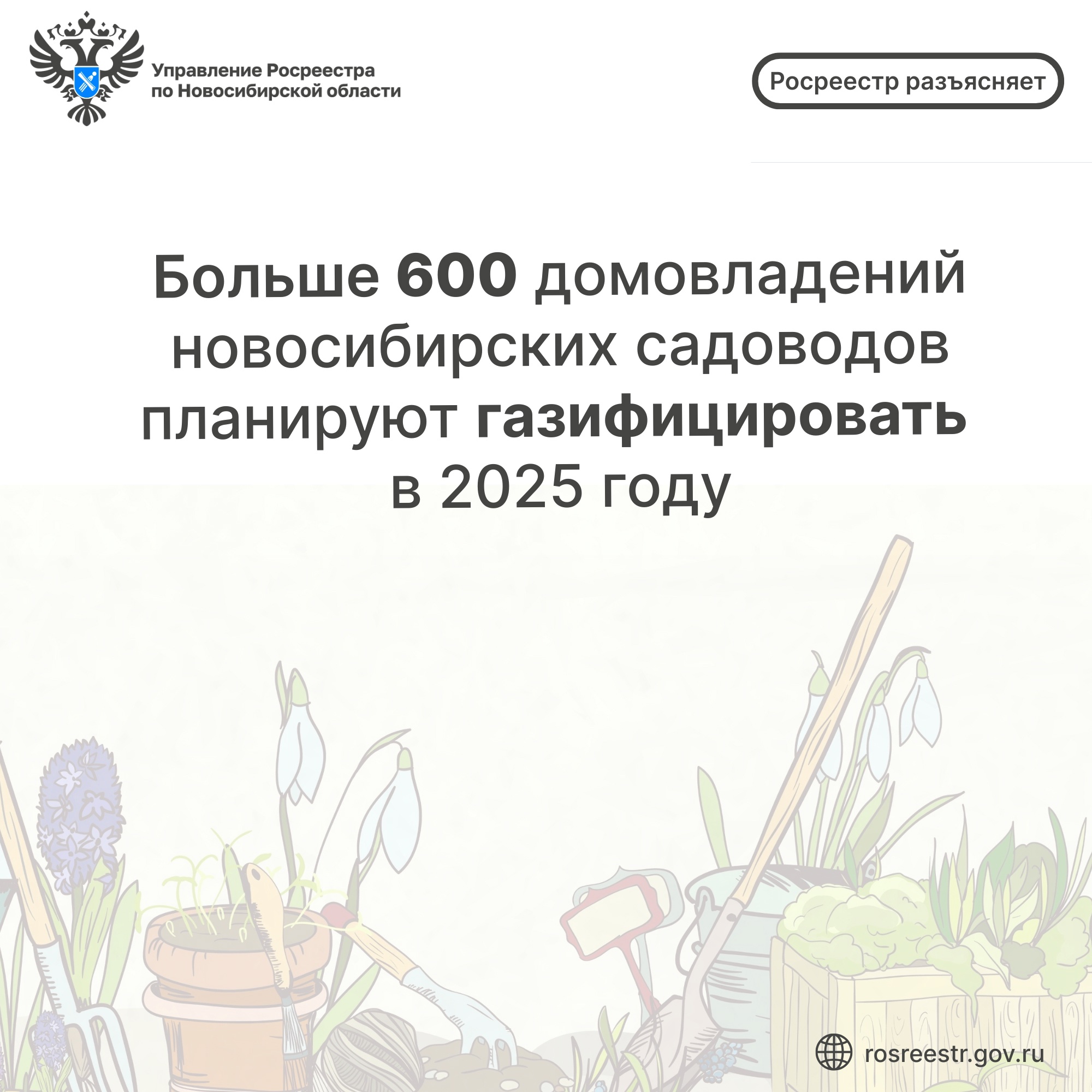 bolshe_600_domovladeniy_novosibirskih_sadovodov_planiruyut_gazificirovat_v_2025_godu.jpg